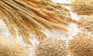 cereals and grains